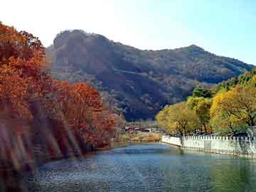 管家婆免费正版资起大全，都市神尊